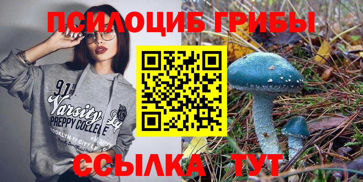 Галлюциногенные грибы Psilocybe Грязи
