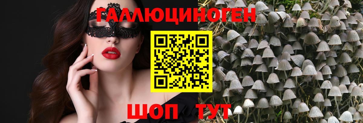 Грязи  Галлюциногенные грибы GOLDEN TEACHER  Вход с VPN  Псилоцибиновые грибы Magic Shrooms 