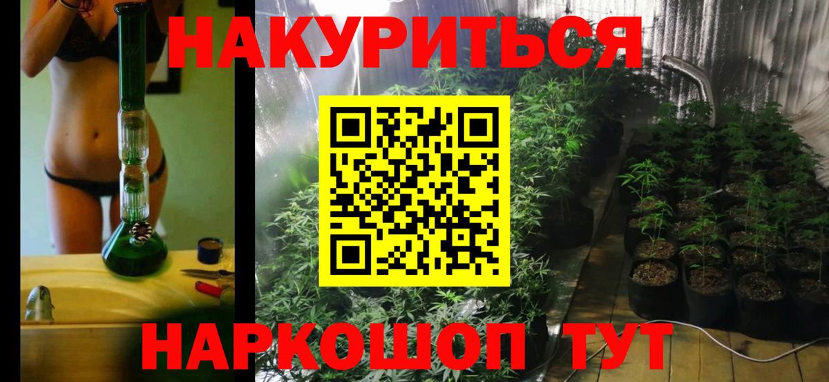 Шишки марихуана сатива Грязи